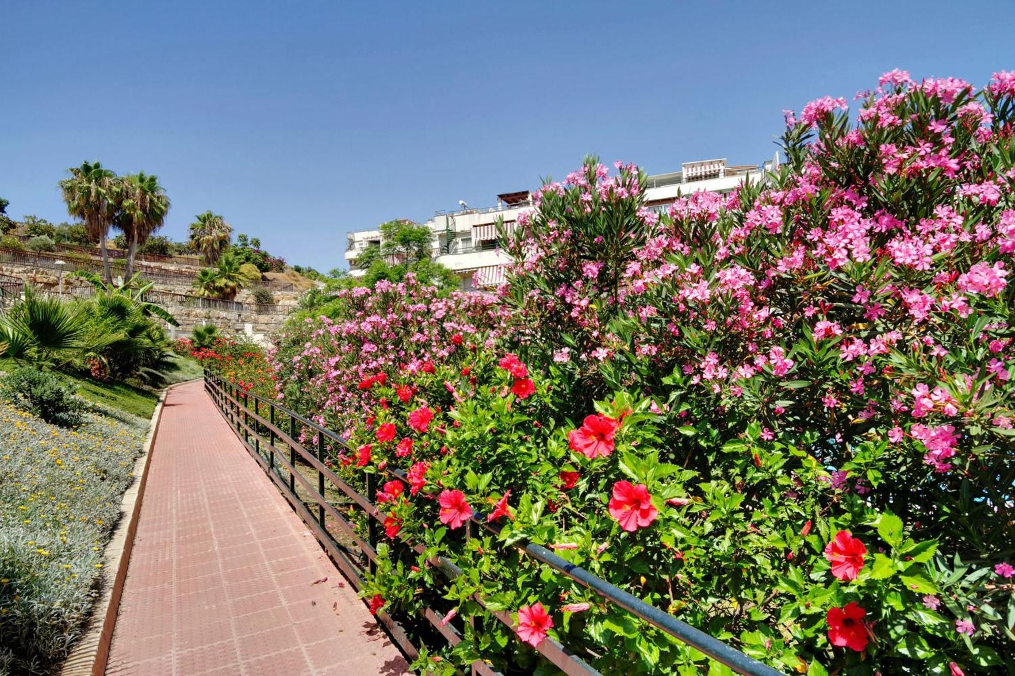 Del Parque Flats - Golf & Beach Terrace Malaga Zewnętrze zdjęcie